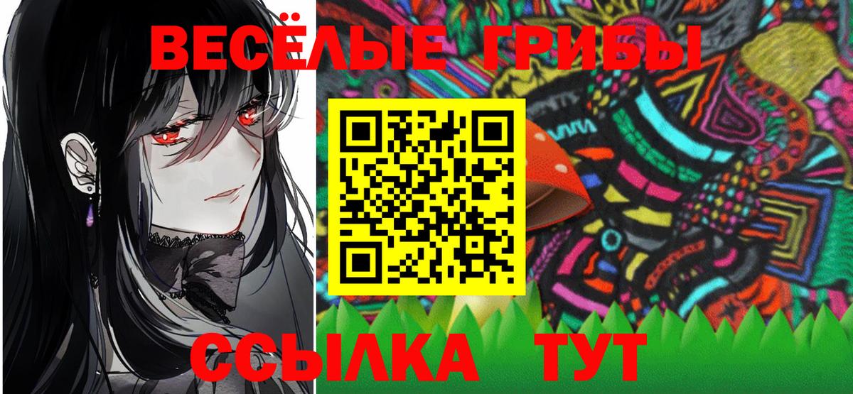 Галлюциногенные грибы GOLDEN TEACHER Гурьевск