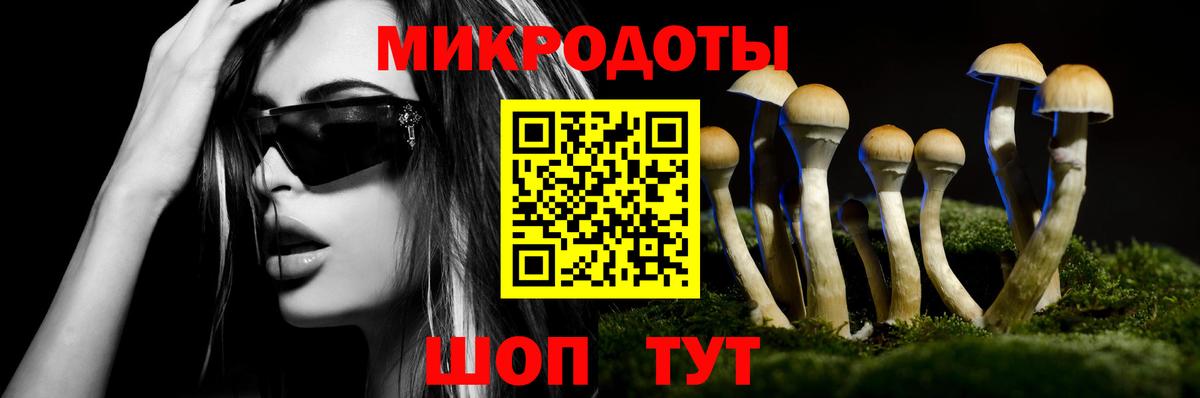 магазин продажи наркотиков  Вход с VPN  Гурьевск  Галлюциногенные грибы Psilocybine cubensis 